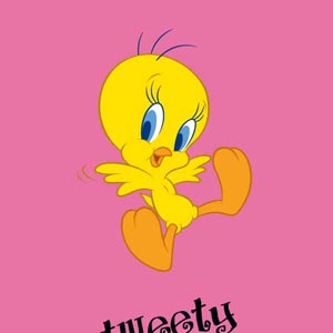 Looney Tunes Tweety Pinky Xbox 360 (Includes HDD) Skin